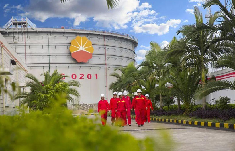 1615794975109410.jpg 820-ZM.jpg