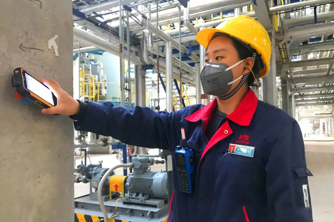 1666180105427504.jpg znxjxt.jpg